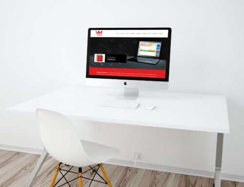 VM VISION . Software house