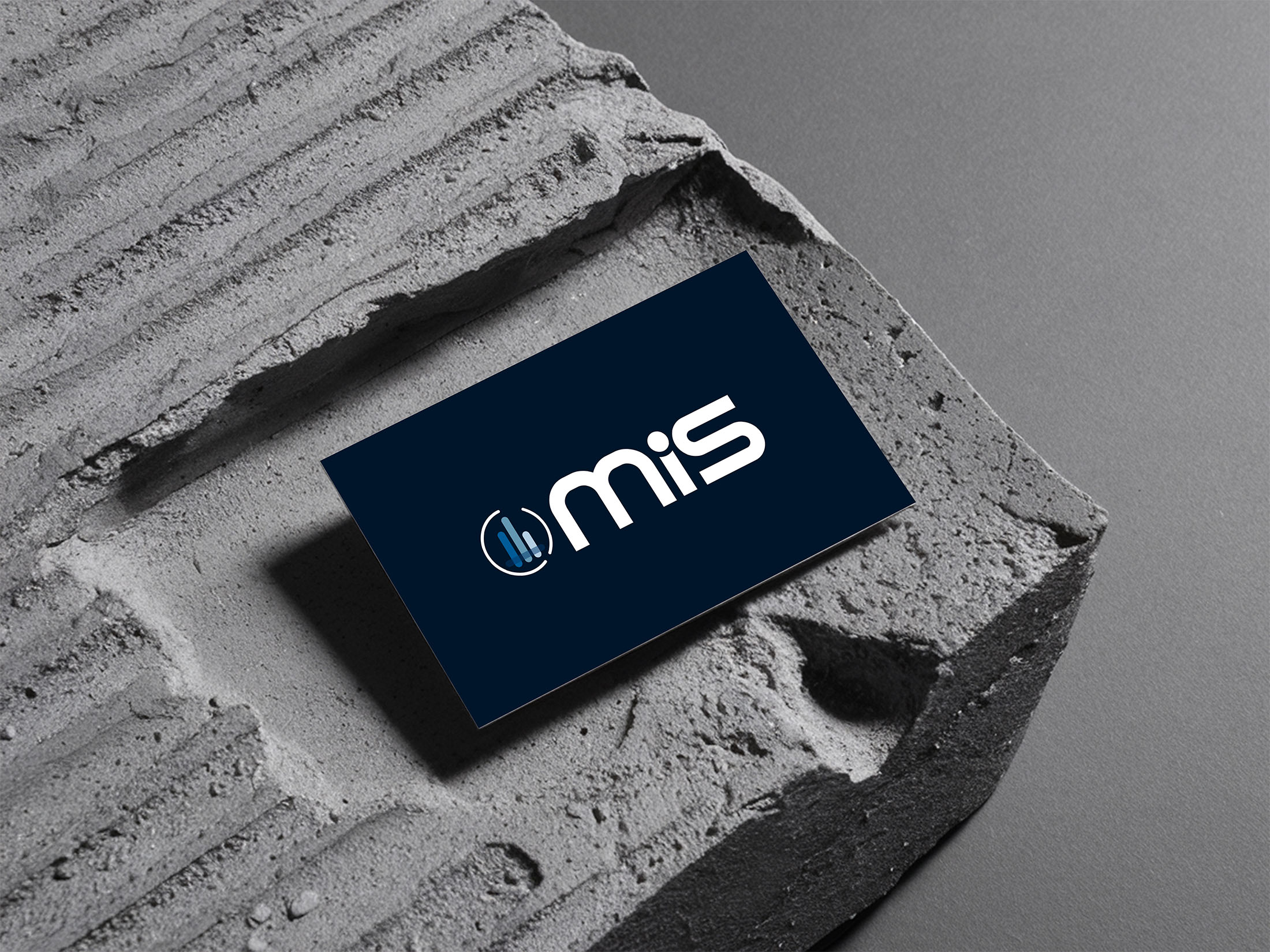 mis-2 Logo per ATS RELAB